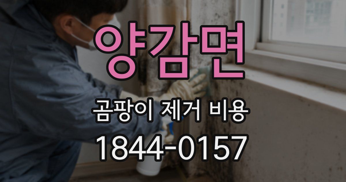 양감면 곰팡이 제거 비용