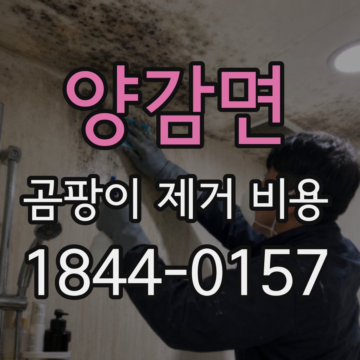 양감면 곰팡이 제거 비용