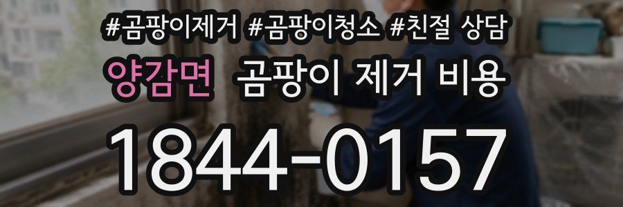양감면 곰팡이 제거 비용