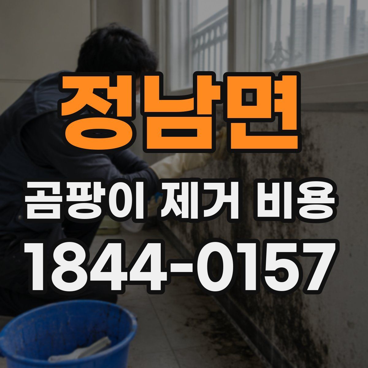 정남면 곰팡이 제거 비용