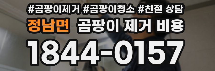 정남면 곰팡이 제거 비용