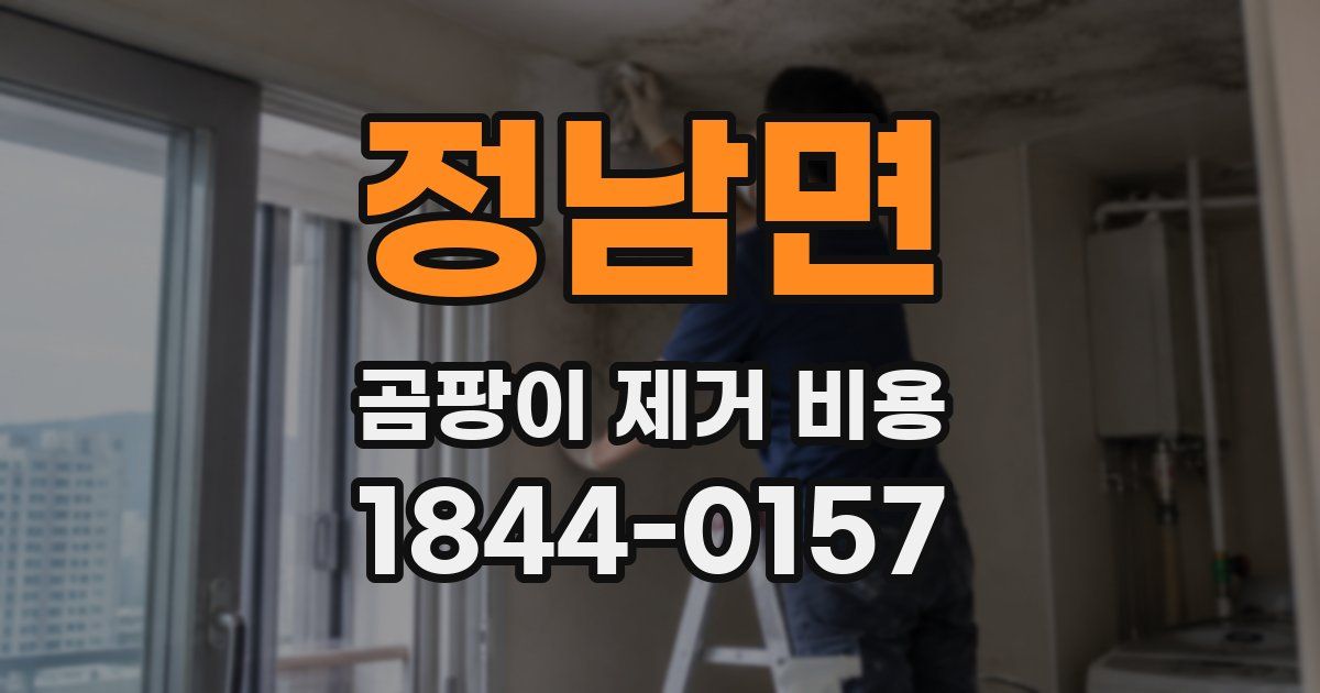 정남면 곰팡이 제거 비용