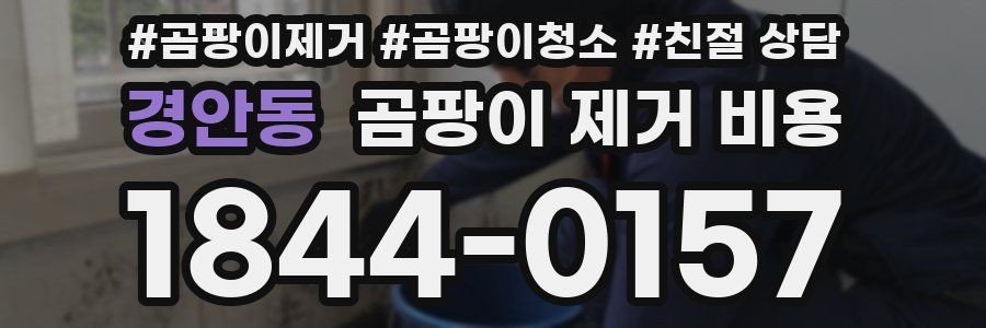 경안동 곰팡이 제거 비용