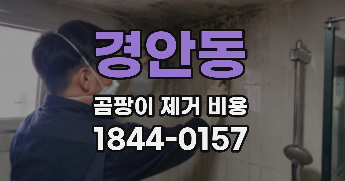 경안동 곰팡이 제거 비용