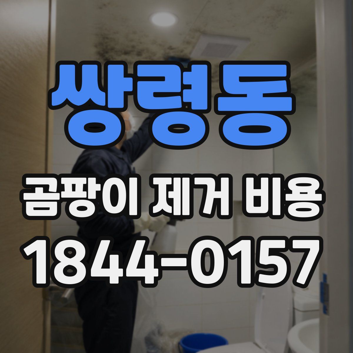 쌍령동 곰팡이 제거 비용
