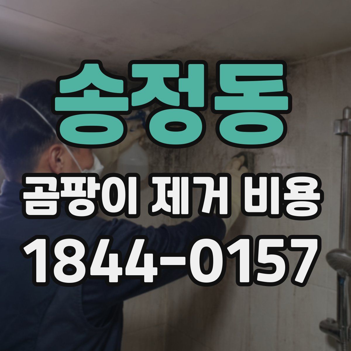 송정동 곰팡이 제거 비용