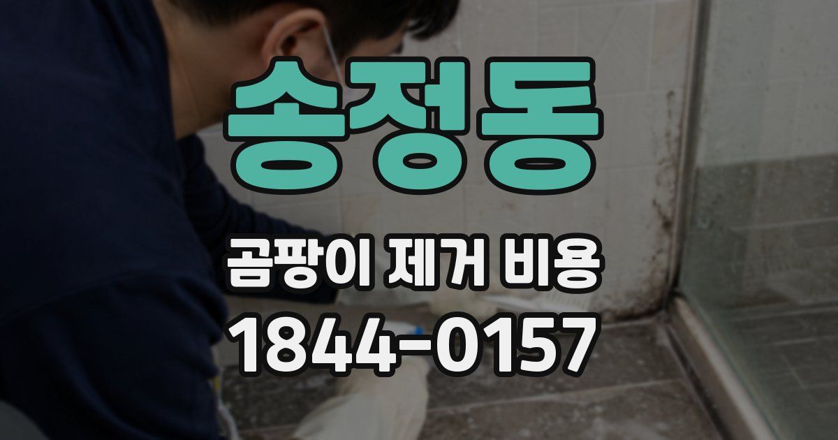 송정동 곰팡이 제거 비용