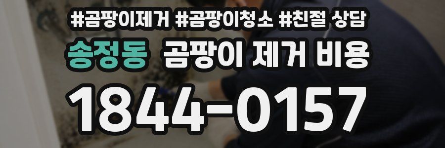 송정동 곰팡이 제거 비용
