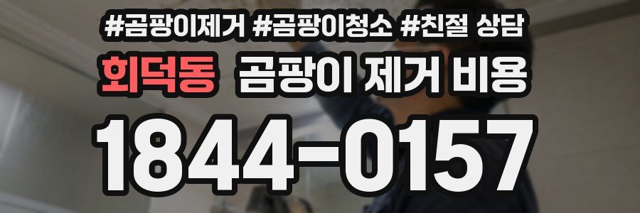 회덕동 곰팡이 제거 비용