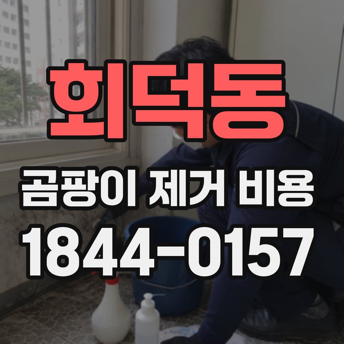 회덕동 곰팡이 제거 비용