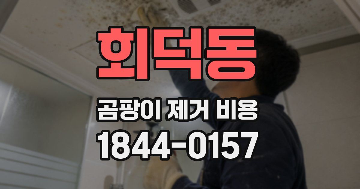 회덕동 곰팡이 제거 비용