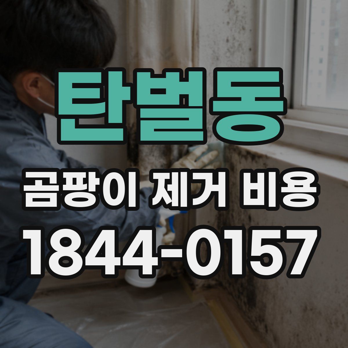 탄벌동 곰팡이 제거 비용