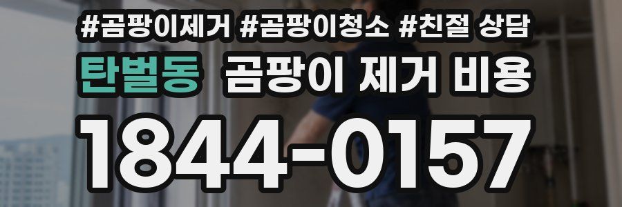 탄벌동 곰팡이 제거 비용