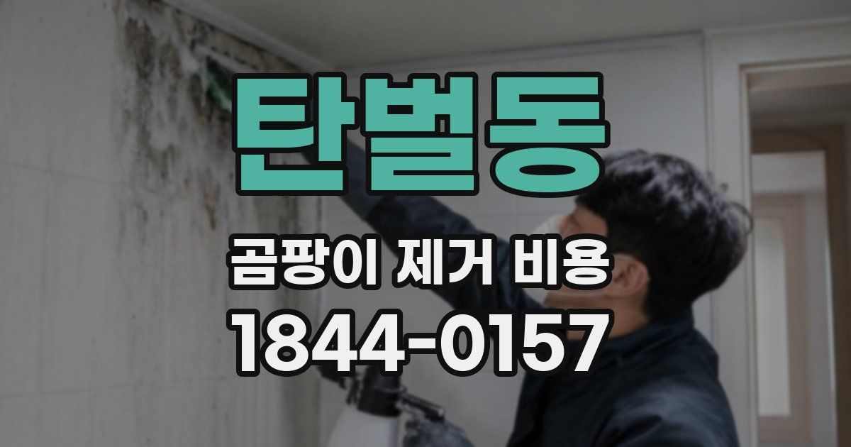 탄벌동 곰팡이 제거 비용