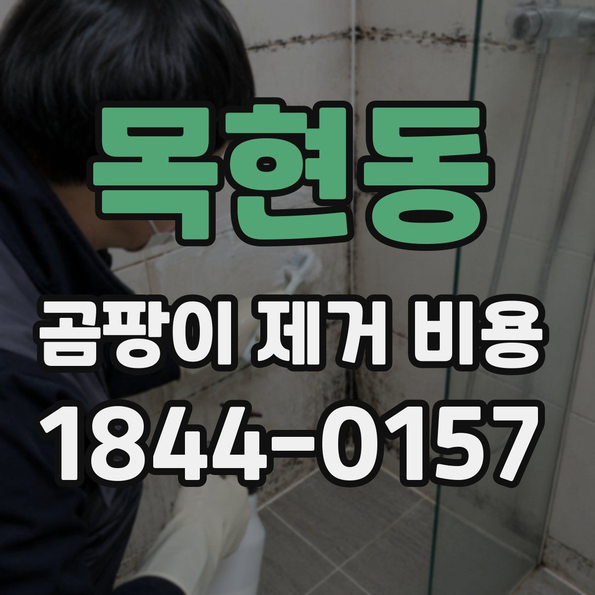 목현동 곰팡이 제거 비용
