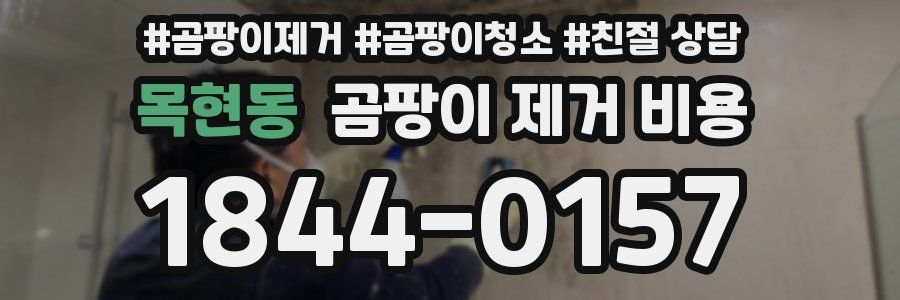 목현동 곰팡이 제거 비용