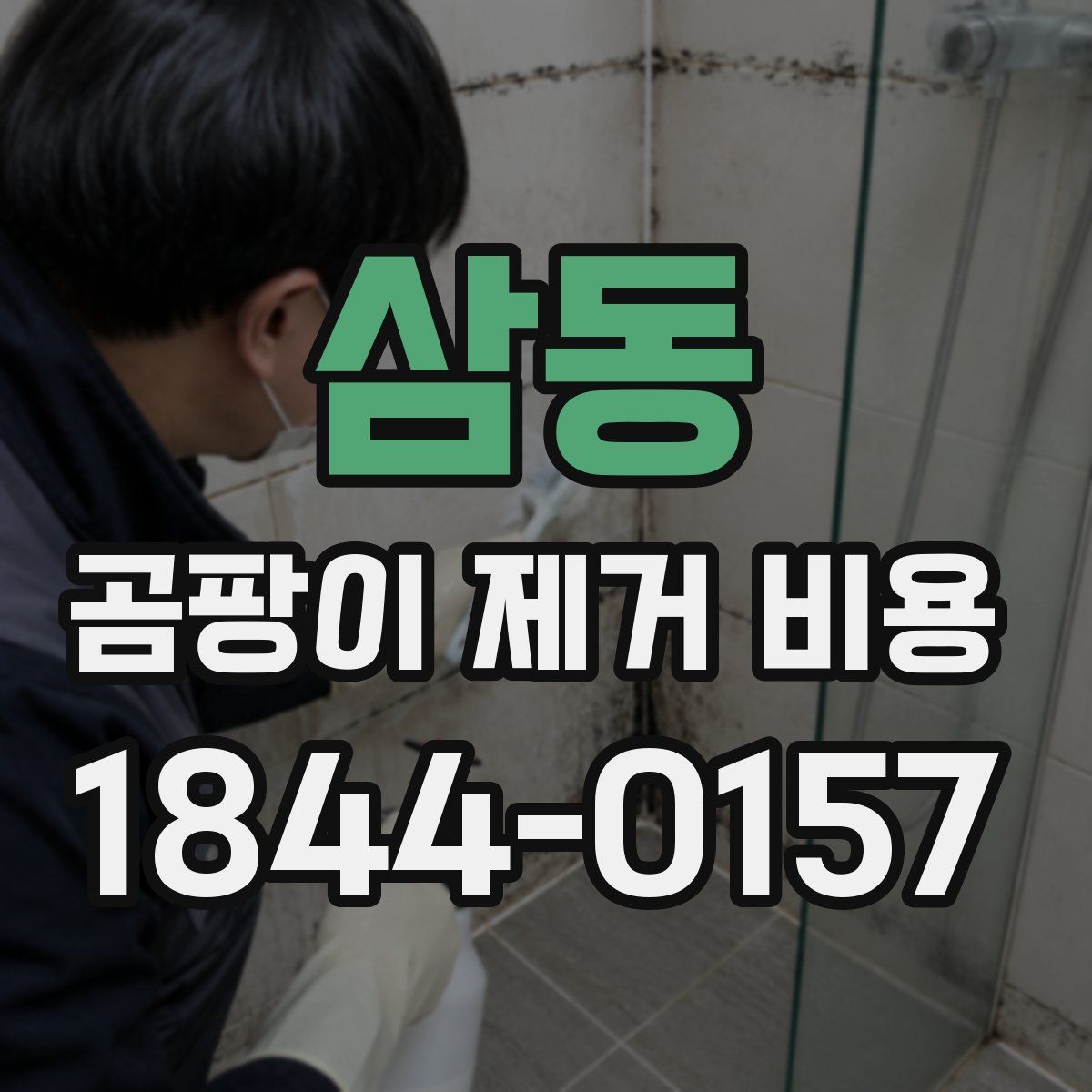 삼동 곰팡이 제거 비용
