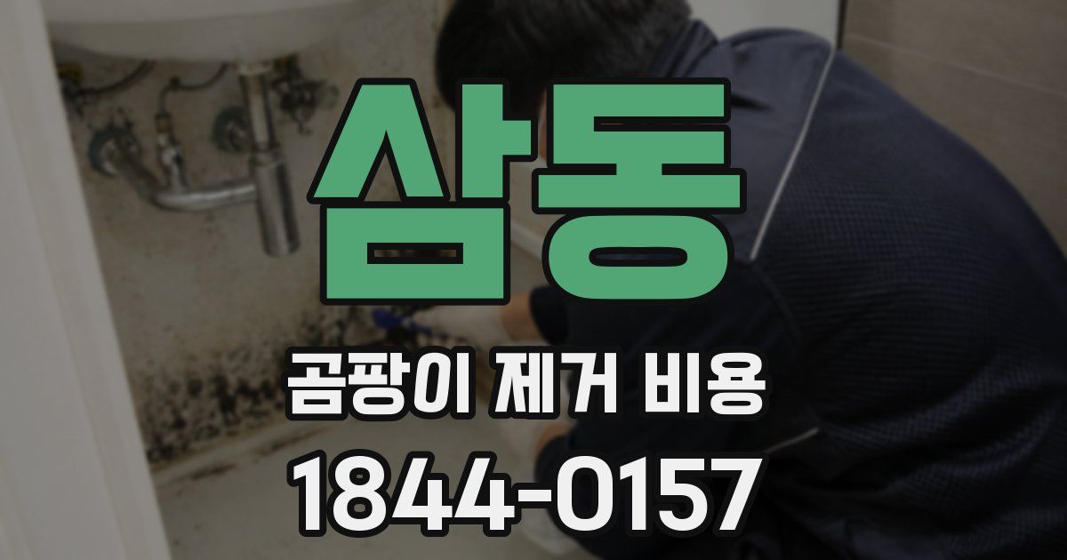 삼동 곰팡이 제거 비용