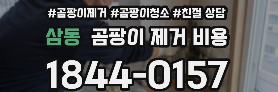 삼동 곰팡이 제거 비용