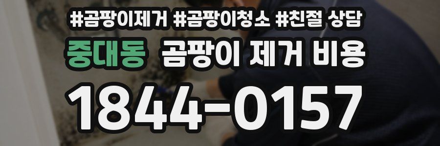 중대동 곰팡이 제거 비용