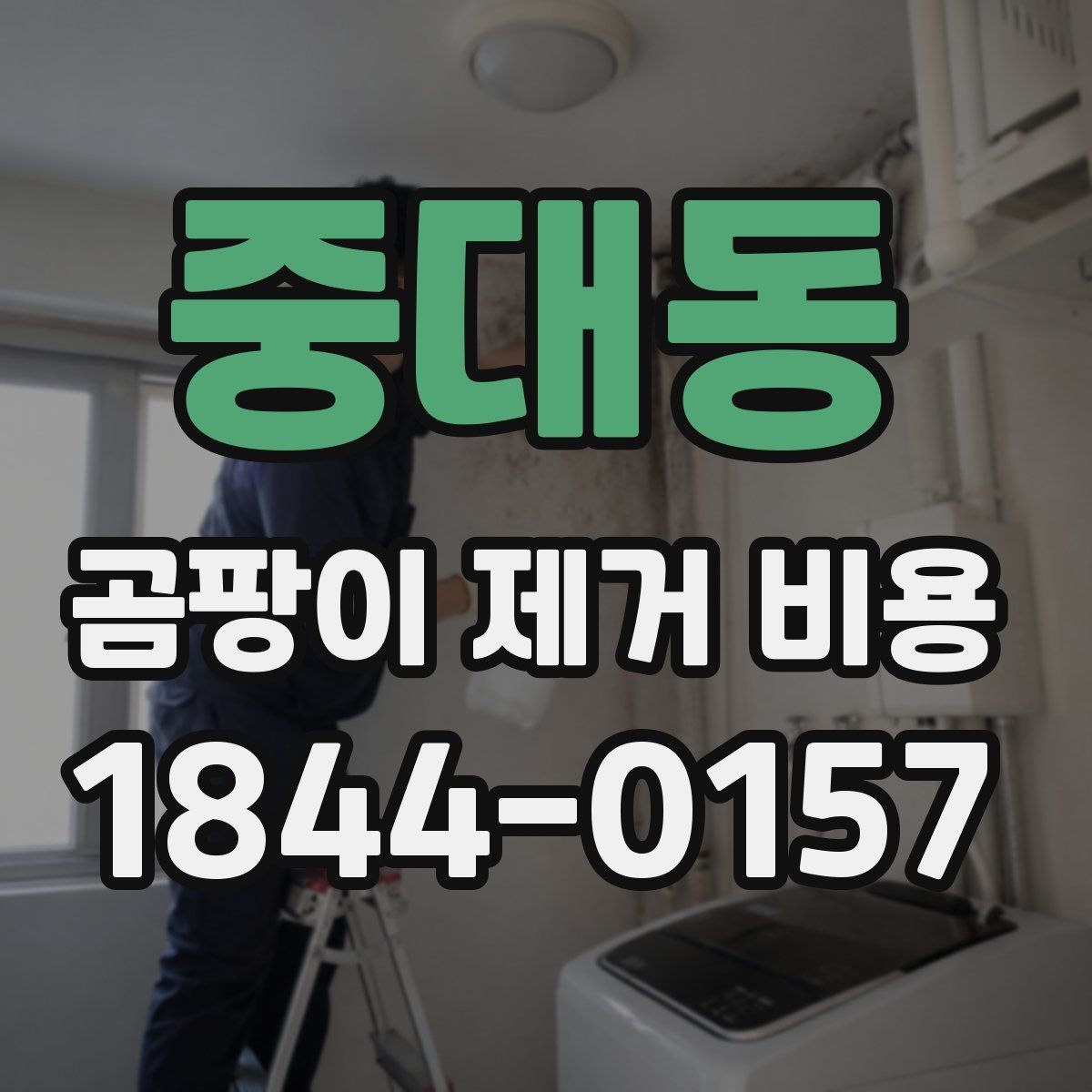 중대동 곰팡이 제거 비용