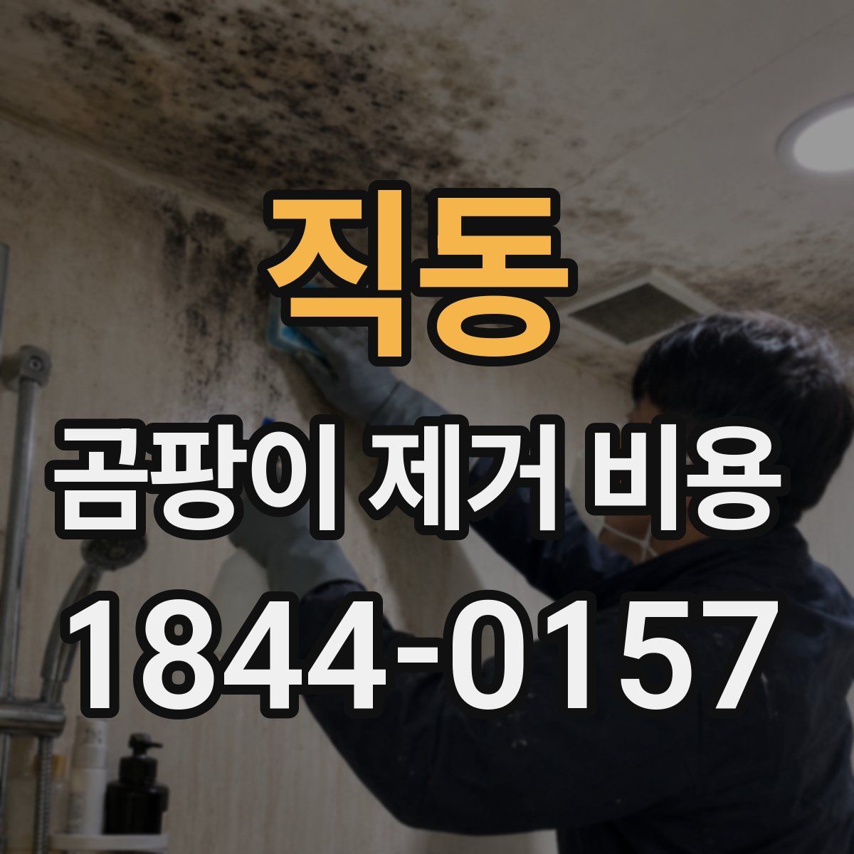 직동 곰팡이 제거 비용