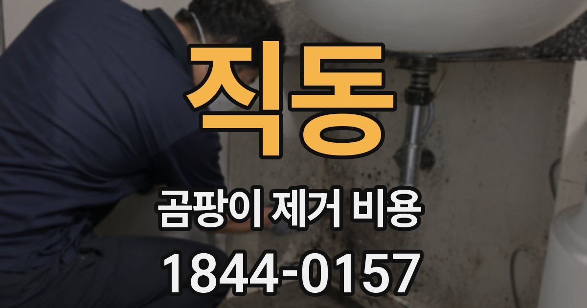 직동 곰팡이 제거 비용