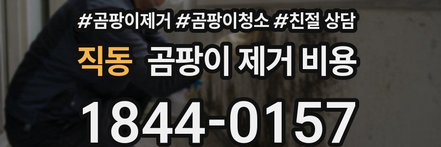 직동 곰팡이 제거 비용