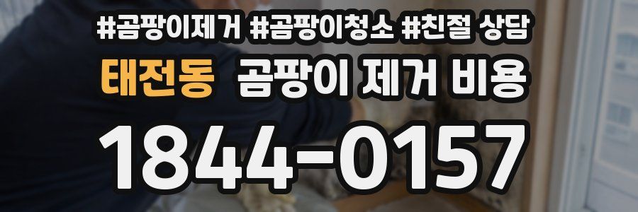 태전동 곰팡이 제거 비용