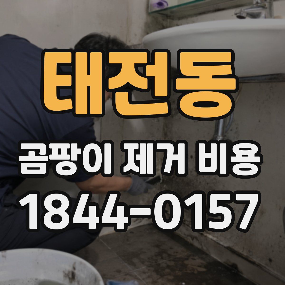 태전동 곰팡이 제거 비용