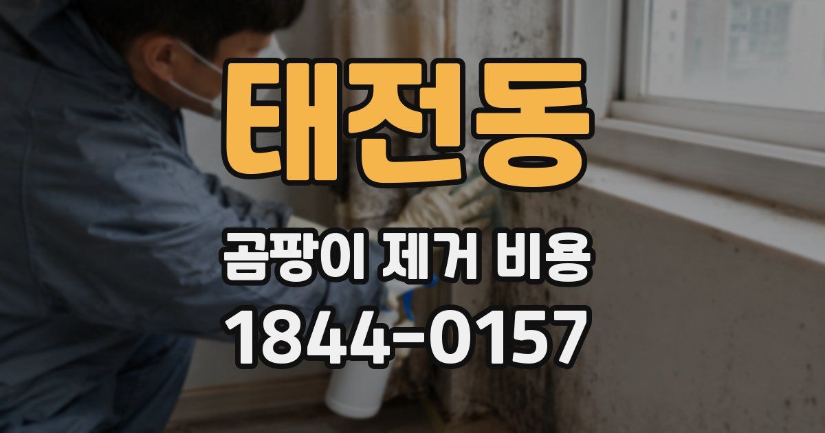 태전동 곰팡이 제거 비용