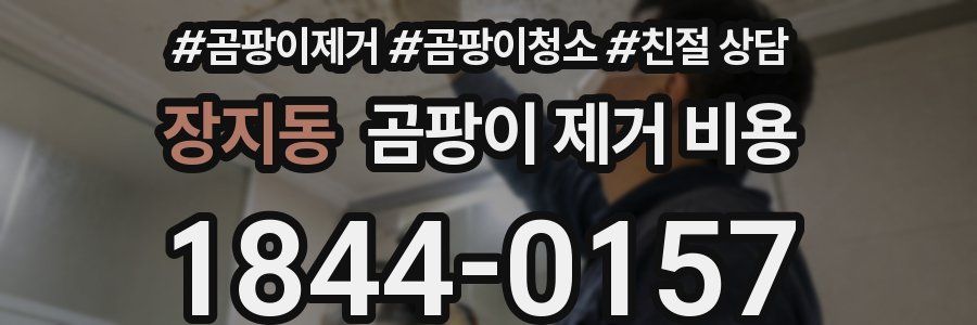 장지동 곰팡이 제거 비용