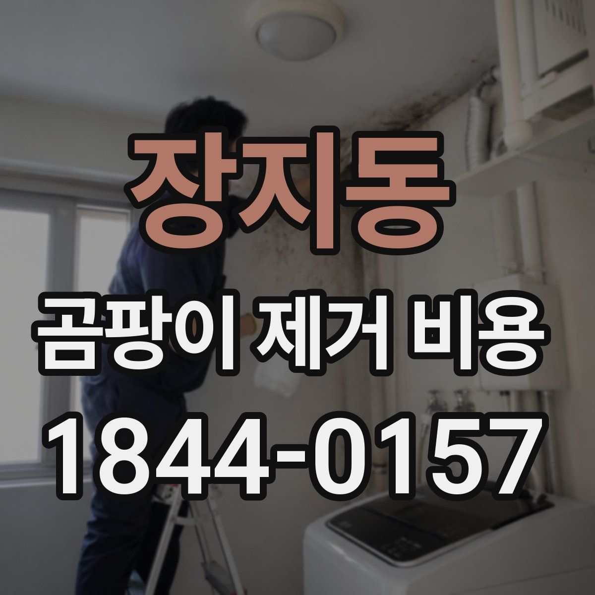장지동 곰팡이 제거 비용