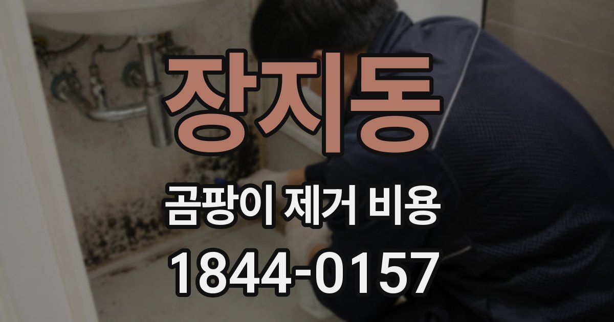 장지동 곰팡이 제거 비용