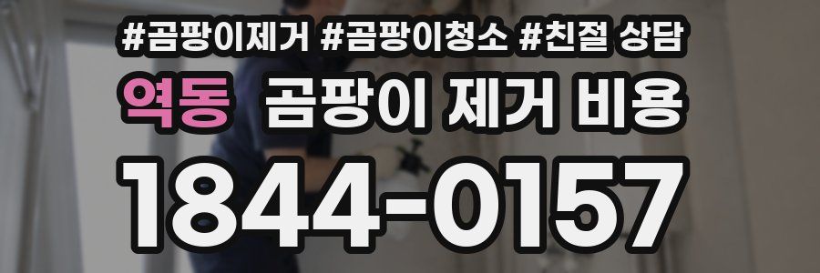 역동 곰팡이 제거 비용
