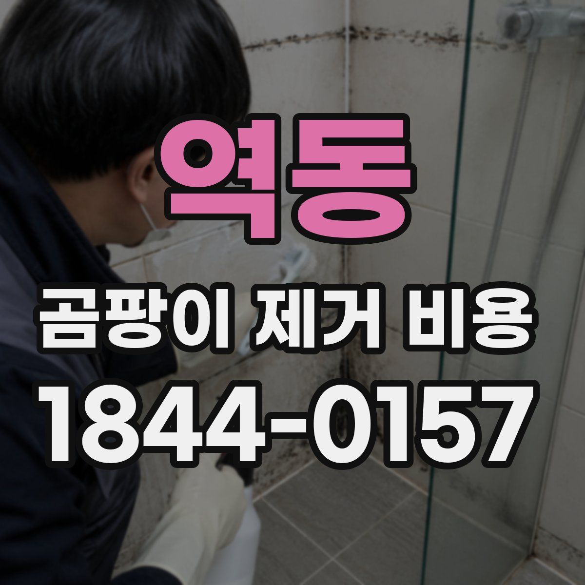 역동 곰팡이 제거 비용