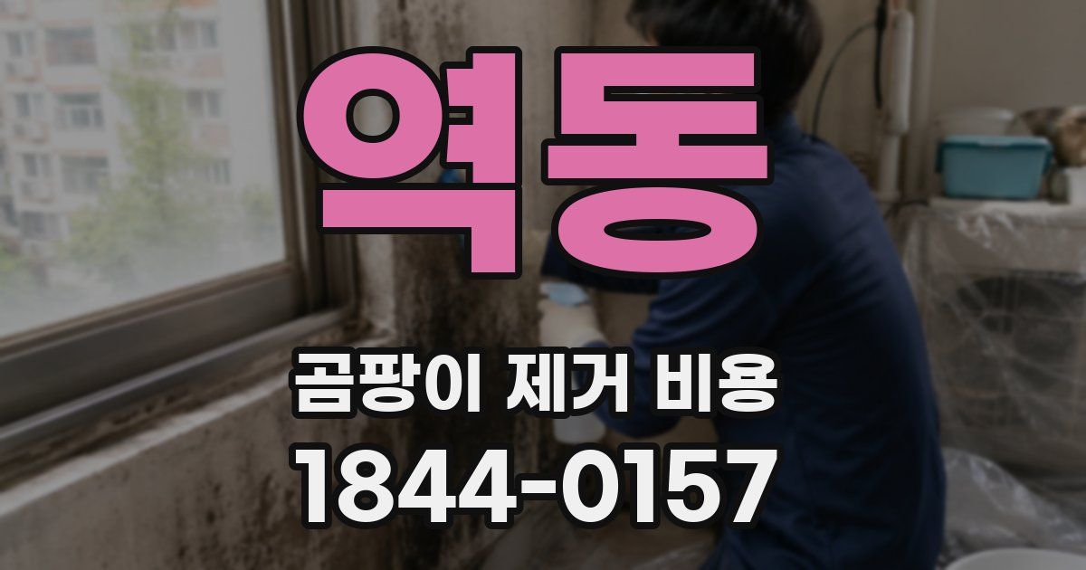 역동 곰팡이 제거 비용