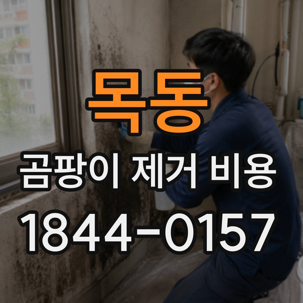목동 곰팡이 제거 비용