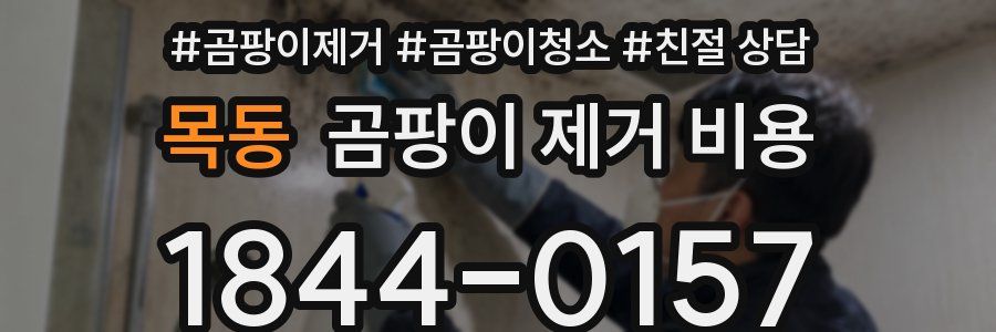 목동 곰팡이 제거 비용