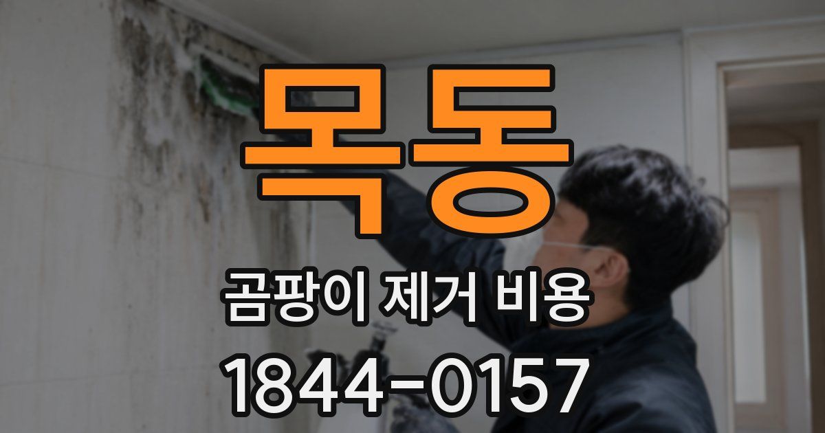 목동 곰팡이 제거 비용