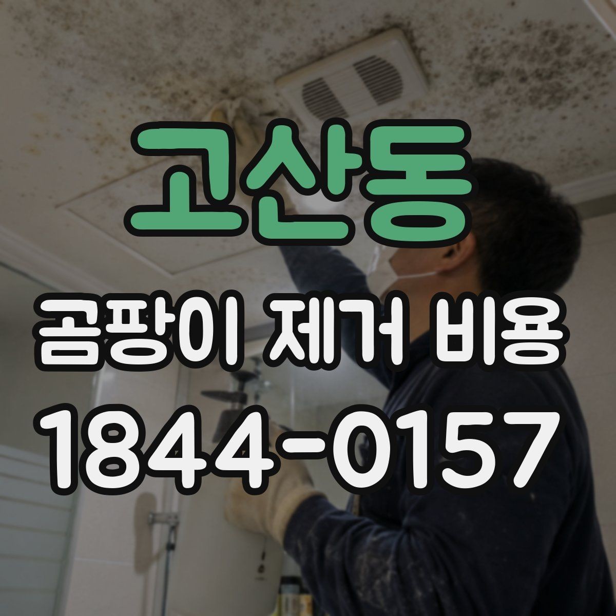 고산동 곰팡이 제거 비용 비교를 위한 현실적인 기준