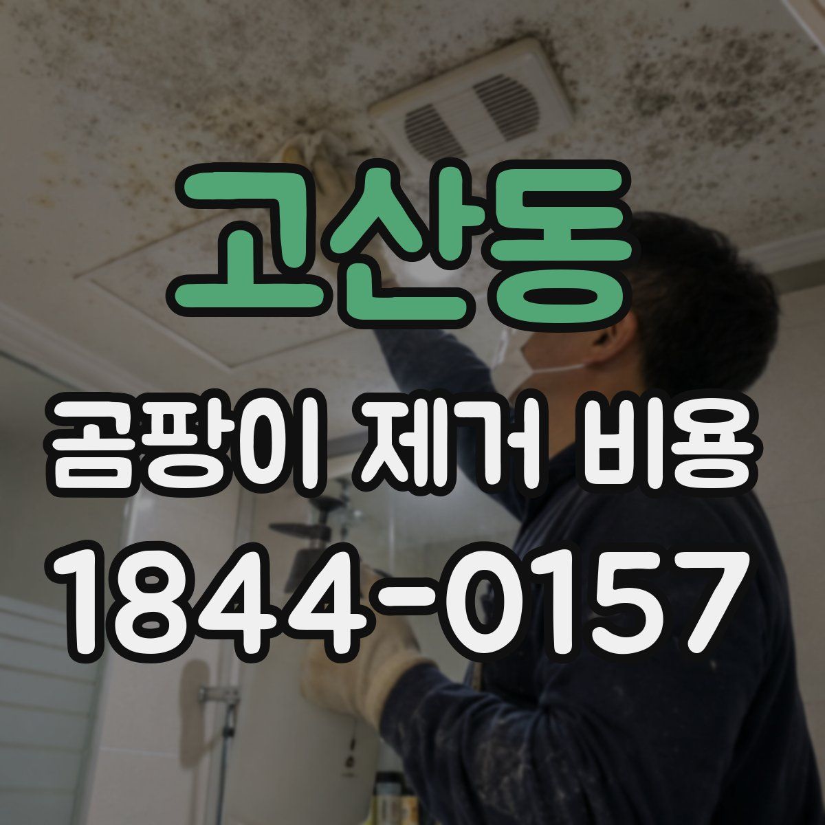 고산동 곰팡이 제거 비용
