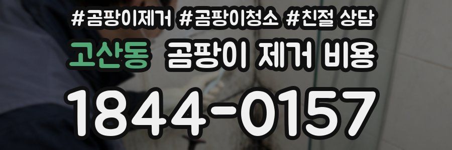 고산동 곰팡이 제거 비용