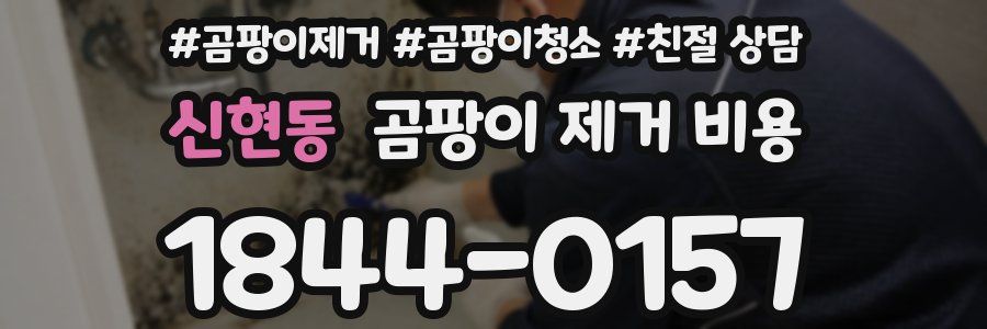 신현동 곰팡이 제거 비용