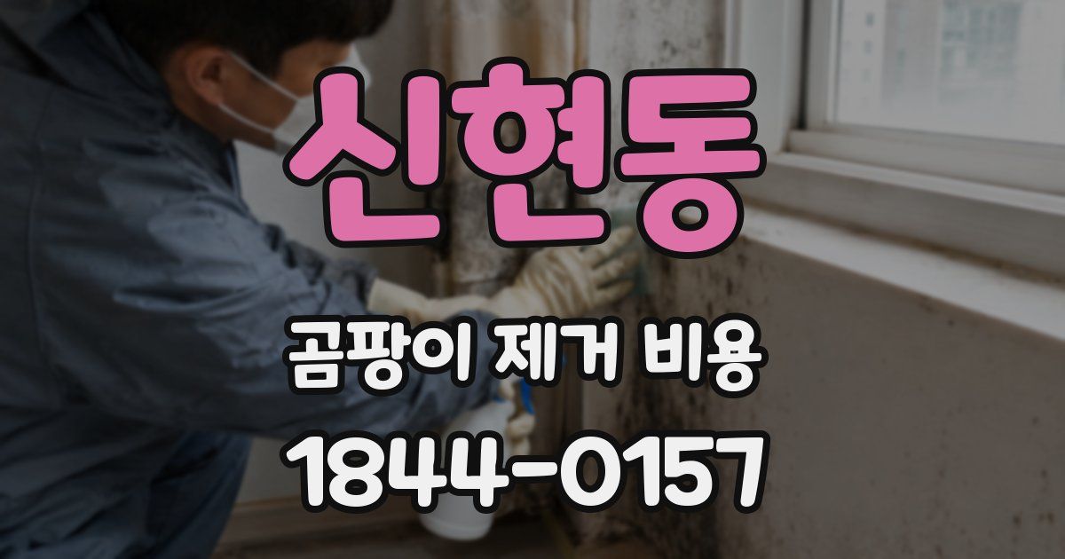 신현동 곰팡이 제거 비용