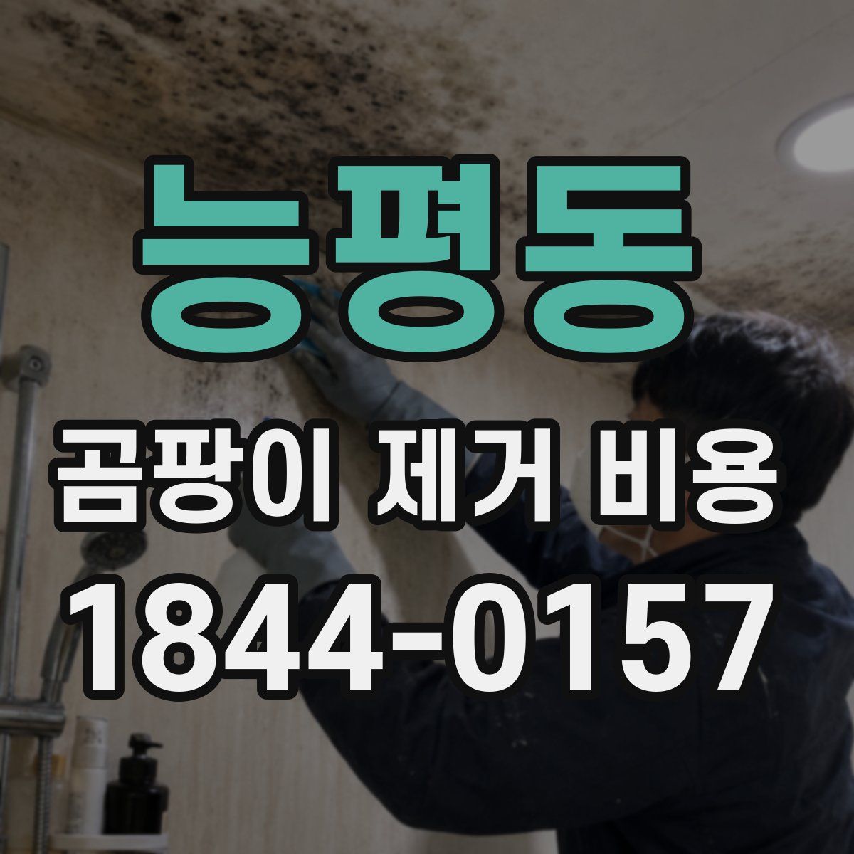 능평동 곰팡이 제거 비용