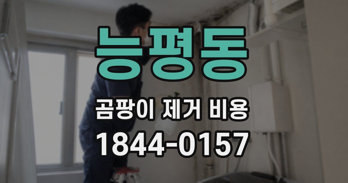 능평동 곰팡이 제거 비용