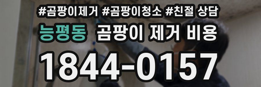 능평동 곰팡이 제거 비용