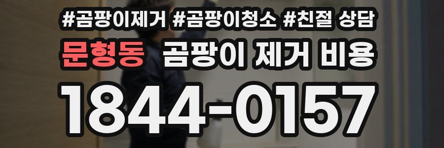 문형동 곰팡이 제거 비용