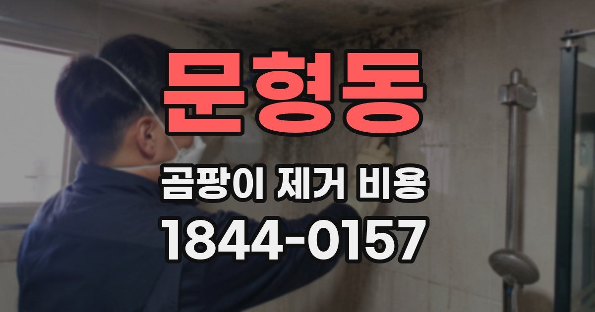 문형동 곰팡이 제거 비용